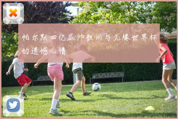 帕尔默回忆瓜帅教训与无缘世界杯的遗憾心情